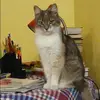 Отзыв от Эмилия Козина